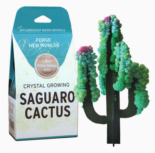 Crystal Growing Saguaro Cactus