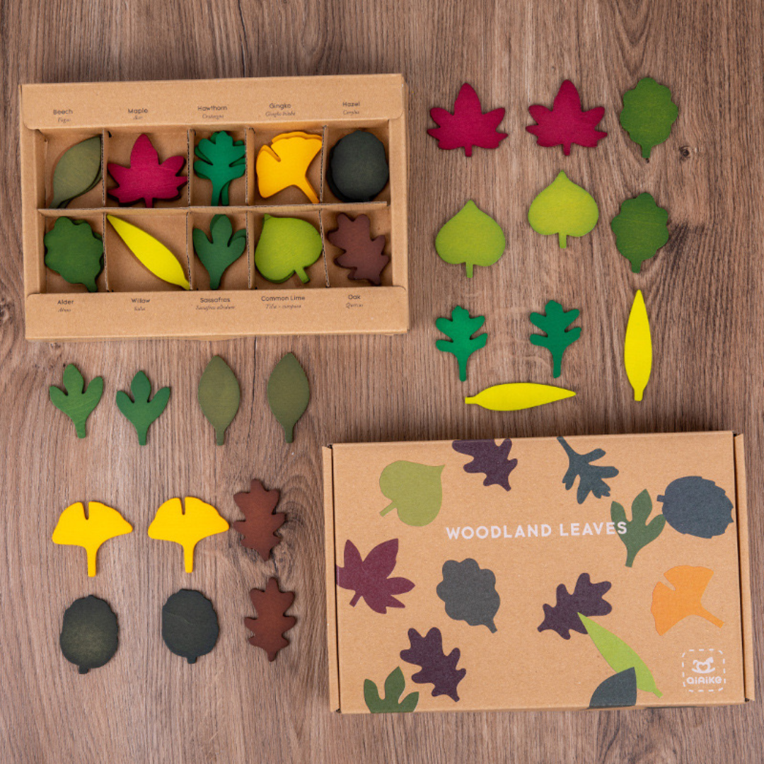 Wooden Leaf Toy Montessori Toys (3+)