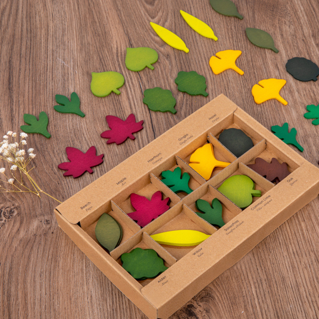 Wooden Leaf Toy Montessori Toys (3+)