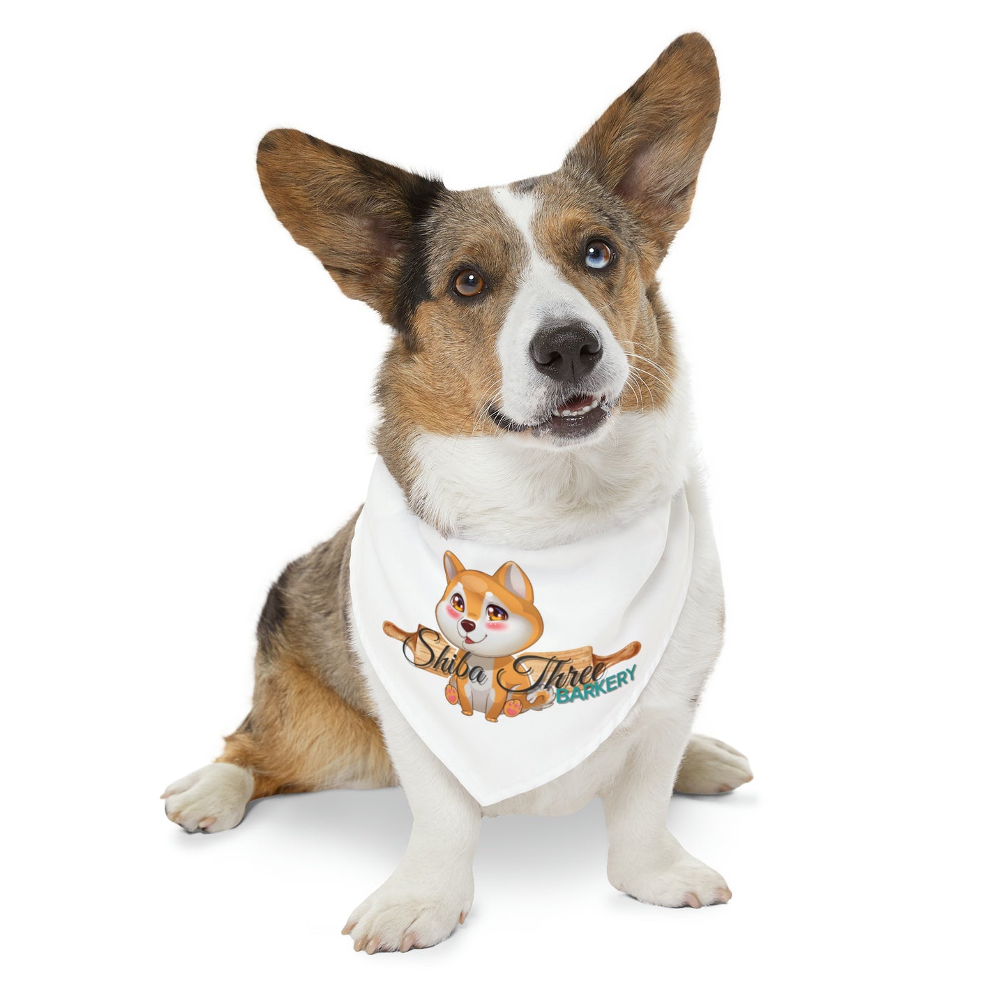 Shiba Three Barkery Pet Bandana Collar