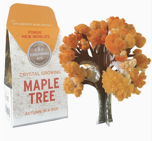 Crystal Growing Maple Tree