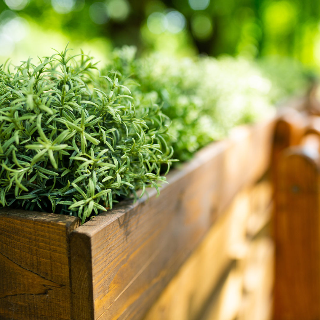 Make Your Own Plant Box Workshop